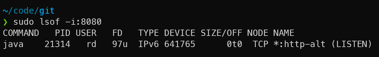 lsof command output